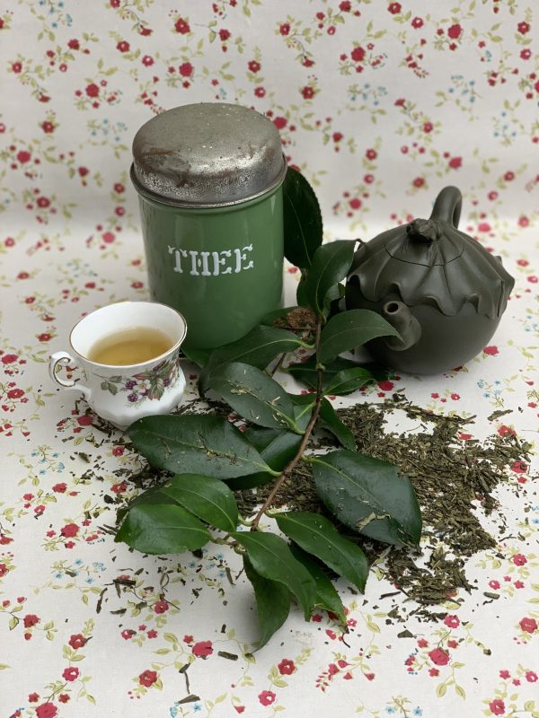 groene thee